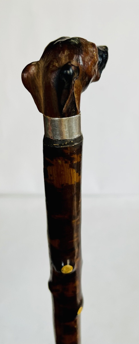 Canne de marche -photo-4